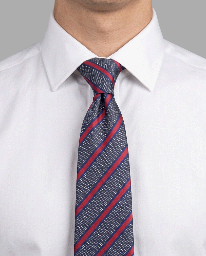 Navy & Red Textured Dotted Diagonal Stripe Tie