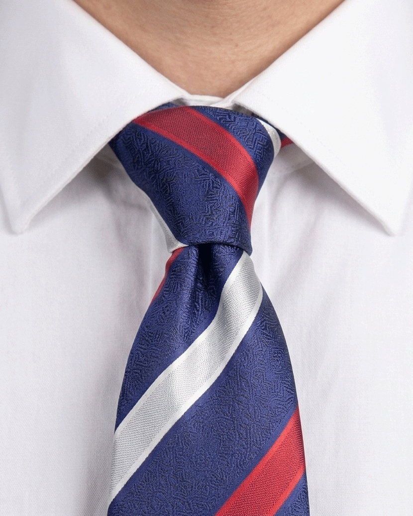Navy & Red Regiment Textured Stripe Tie