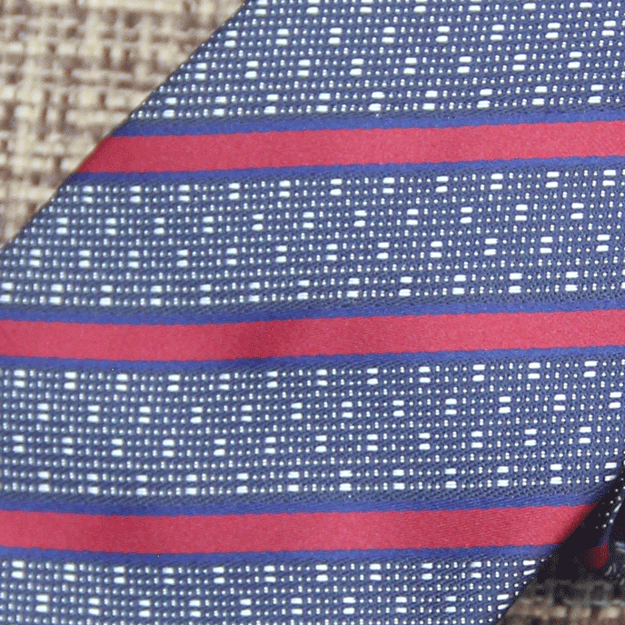 Navy & Burgundy Textured Dotted Stripe Tie