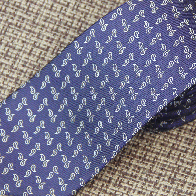 Blue & White Mini Paisley Tie